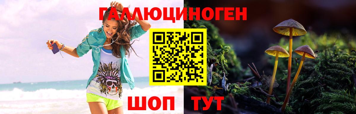 ГЕРОИН  Ленинск-Кузнецкий  Лсд 25  Меф МЯУ МЯУ кристаллы  Гашиш  MDMA  Вход с VPN  МЕТ 